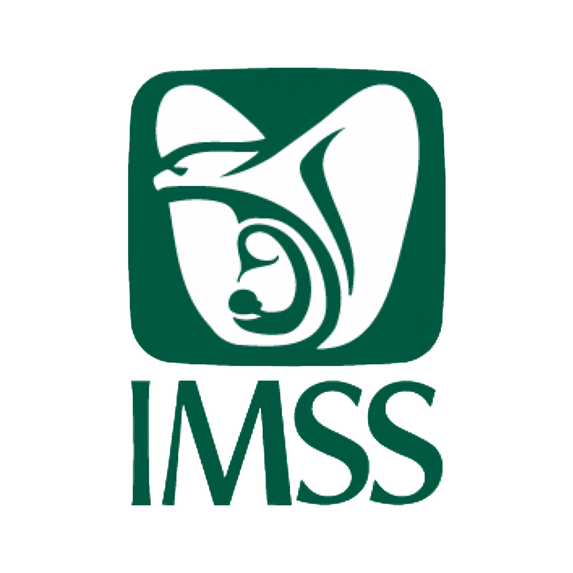 IMSS Logo Vintage
